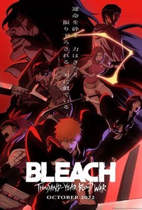 Bleach: Thousand-Year Blood War online